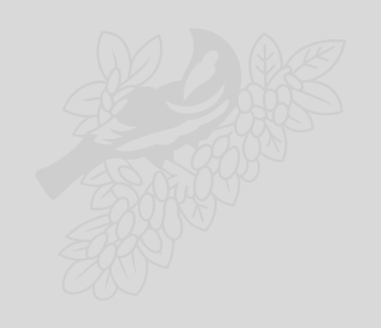 Capacitación e intercambio en Colombia