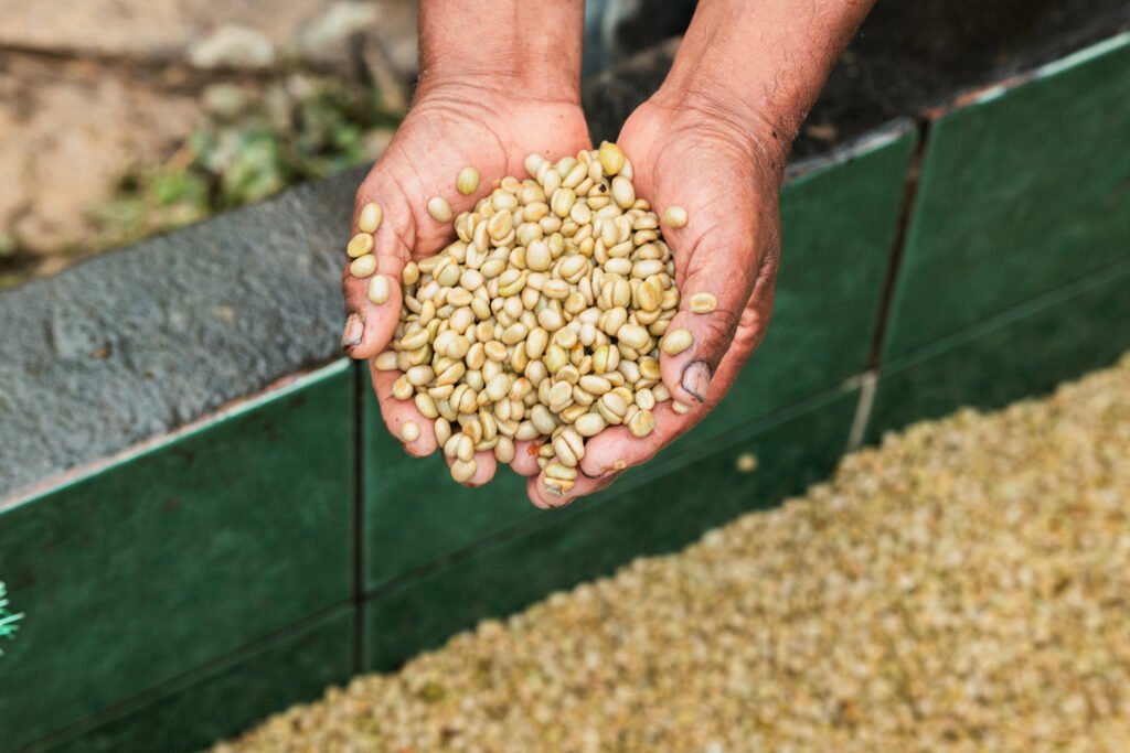 Lavado y secado en origen