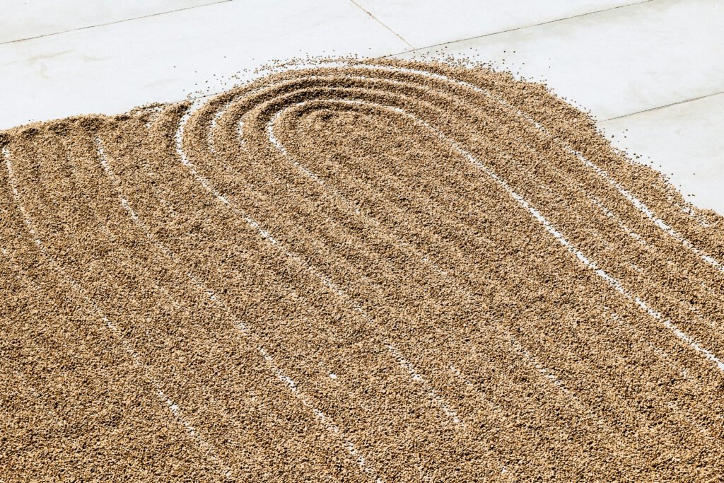 Secado final y trillado